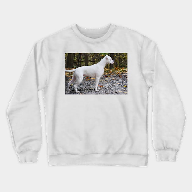 Assuming 'The Stance'... Crewneck Sweatshirt by LaurieMinor